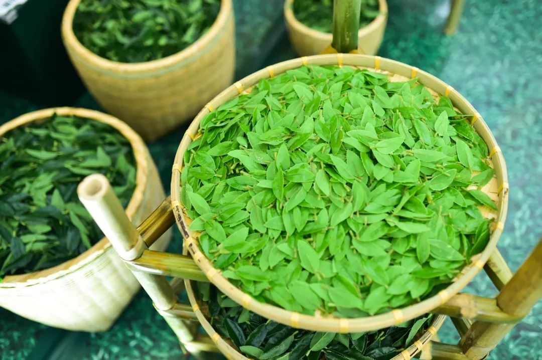 重庆这个清新的主题展览活动旨给你一个专属的心灵栖息地 美陈网站 美陈前沿 