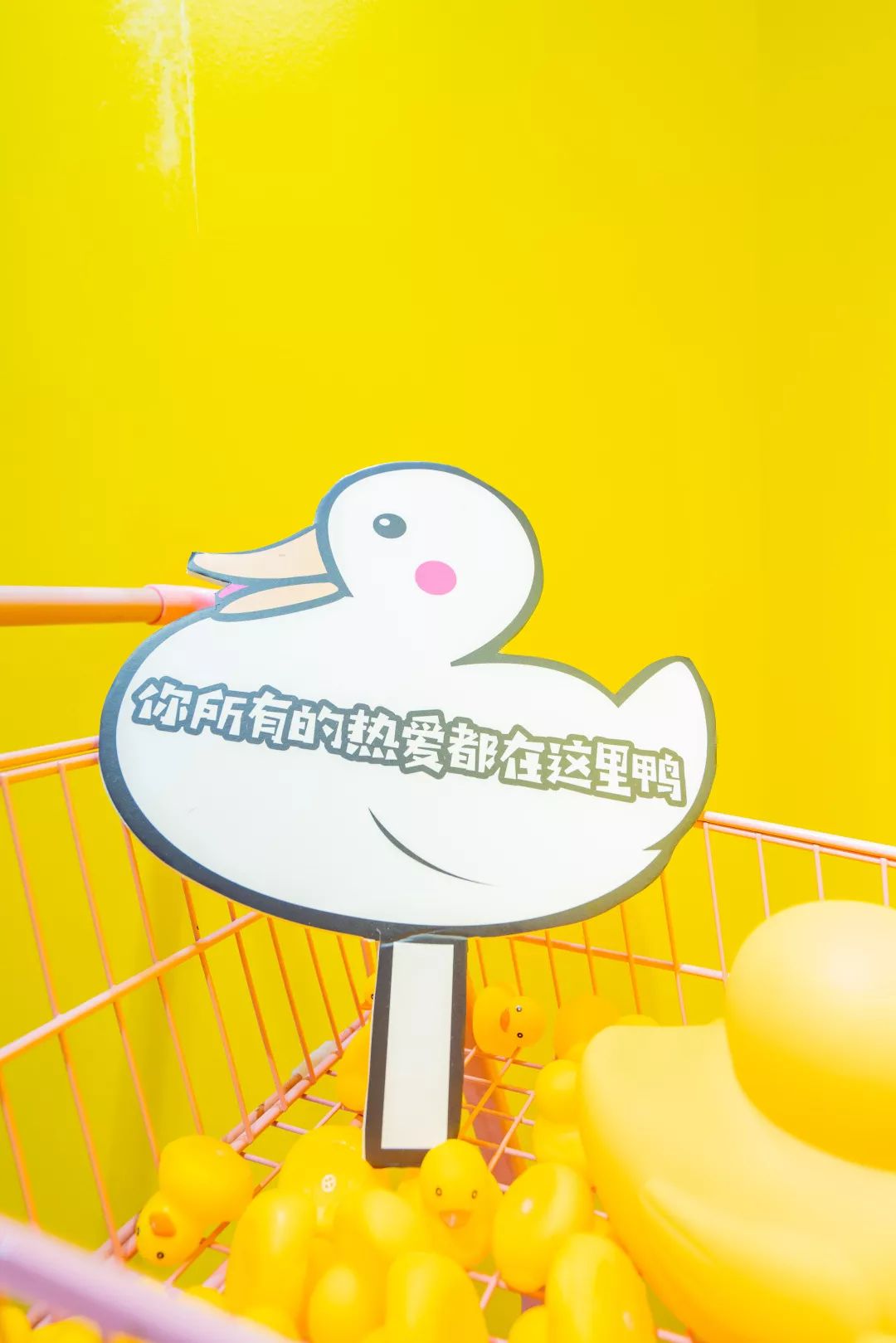 鸭鸭主题快闪店活动萌翻了，2020撸鸦不撸猫，冲鸭 美陈网站 美陈前沿 