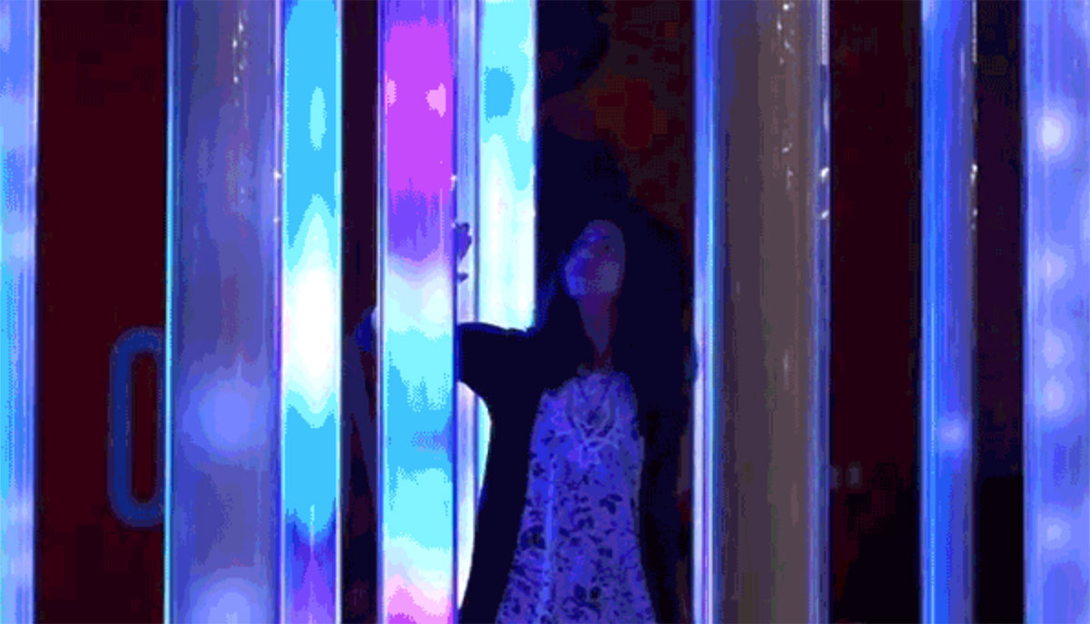 百鸟汇集的沉浸式展览活动让人耳目一新，大自然的鸟舍原来如此 美陈网站 美陈前沿 