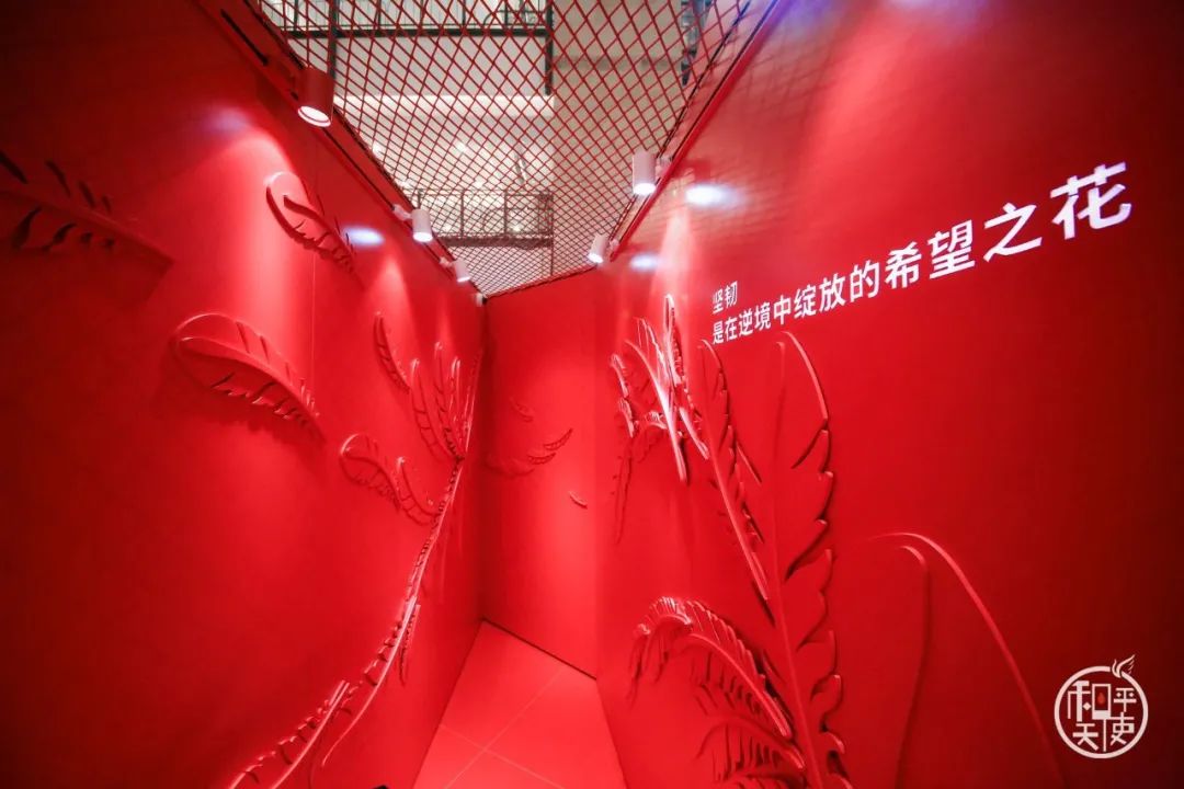 和平天使概念艺术展览活动策划四大主题展馆，流连忘返 美陈网站 美陈前沿 