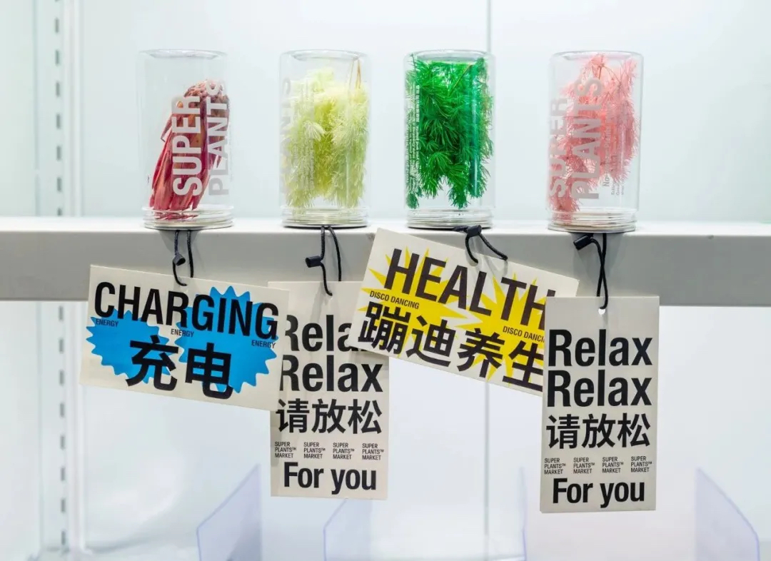 据说这次的“青松便利店”活动策划能为生活灵感补充能量 美陈网站 美陈前沿 