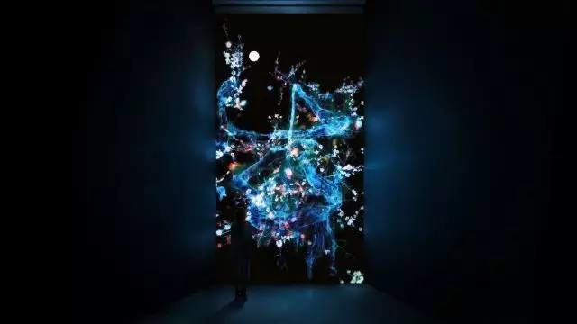 请你去看teamLab最新深圳展 - 美陈网站 美陈推荐 美陈网站 美陈前沿 