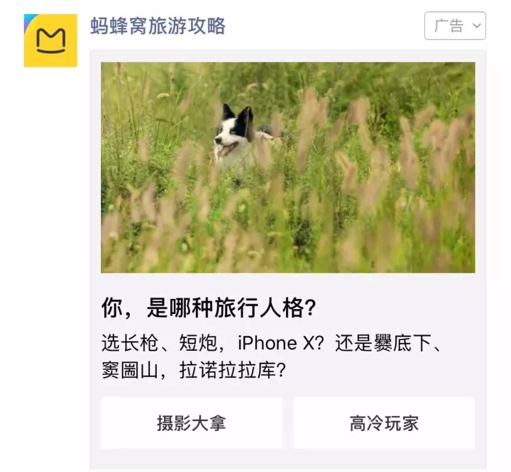 蚂蜂窝：一场任性的人格实验 - 美陈网站 美陈推荐 美陈网站 美陈前沿 