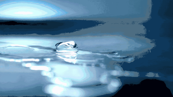9.gif