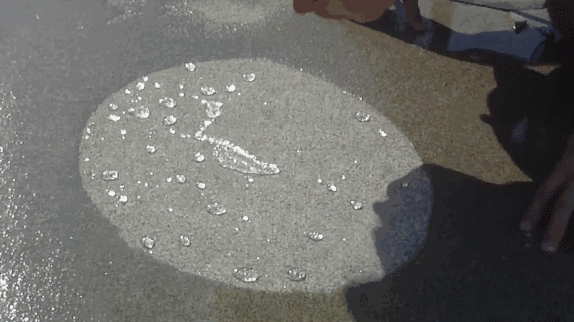 22.gif