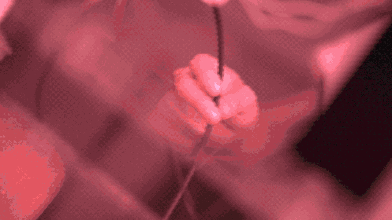1535708333440529.gif