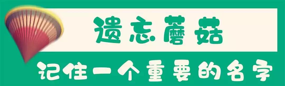 “爱有引力”全球首展！32㎡空间打造100000m³奇幻世界
