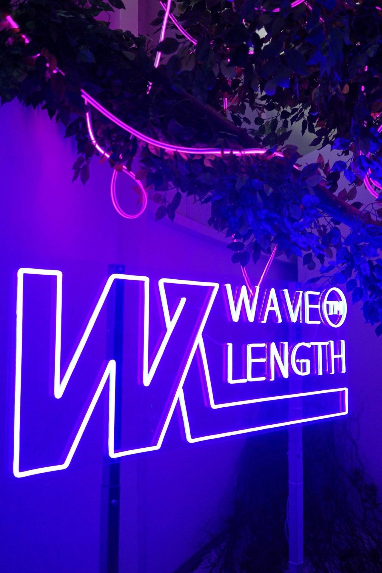 WAVELENGTH:上演一场沉浸式花花世界