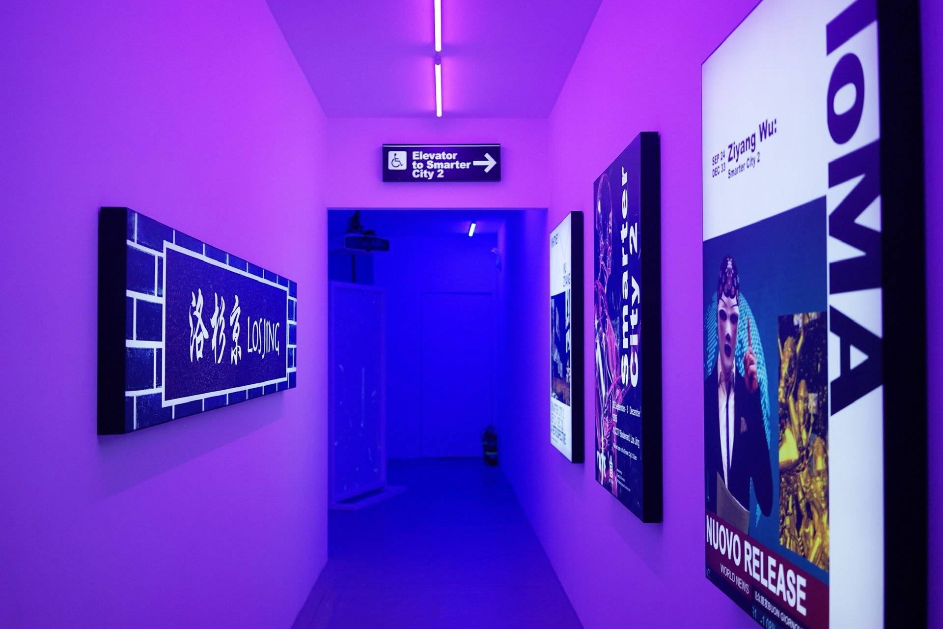 WAVELENGTH:上演一场沉浸式花花世界