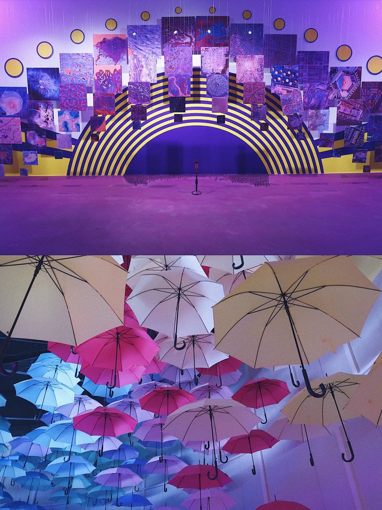 WAVELENGTH:上演一场沉浸式花花世界