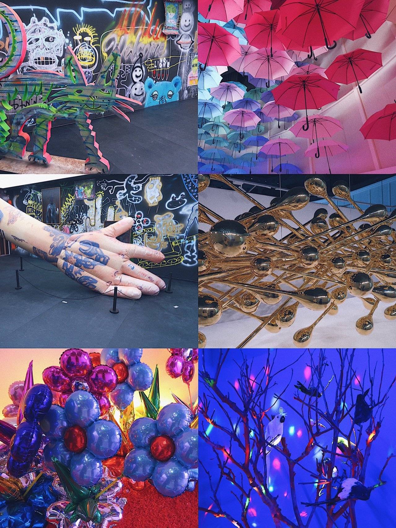 WAVELENGTH:上演一场沉浸式花花世界