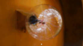 640_17.gif