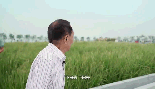 640_2.gif
