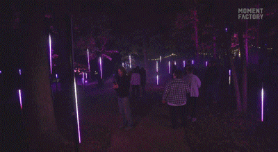 640_6.gif