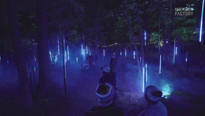 640_7.gif
