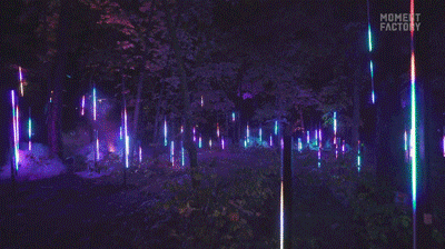 640_23.gif