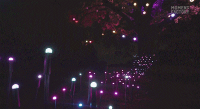 640_43.gif