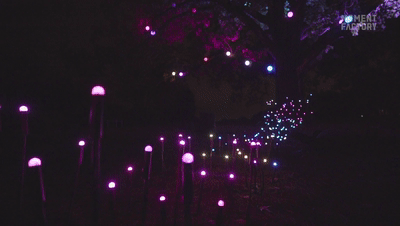 640_47.gif