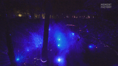 640_54.gif