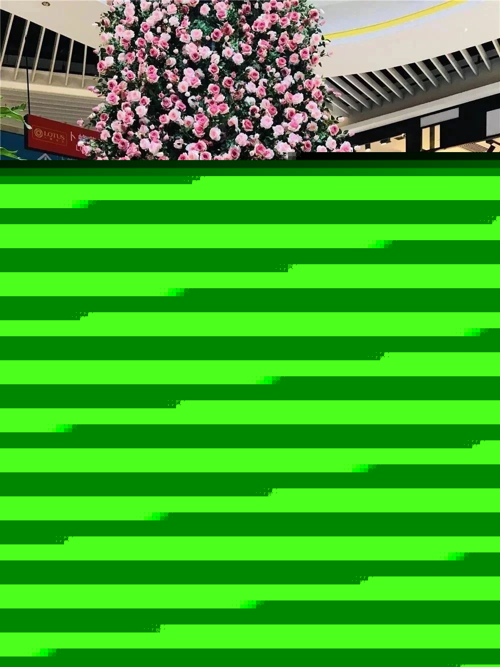 640_10.jpg