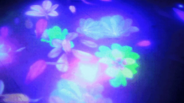 640_23.gif