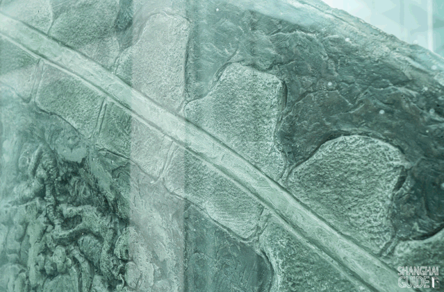 640_7.gif