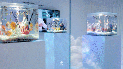 640_25.gif