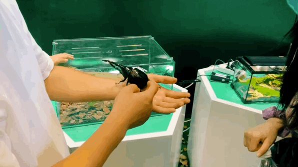 640_17.gif