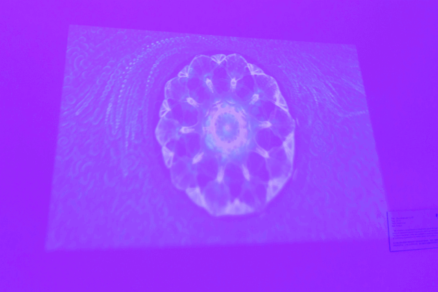 640_24.gif