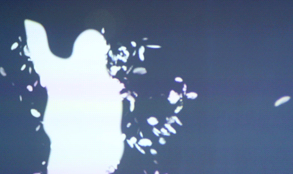 640_8.gif