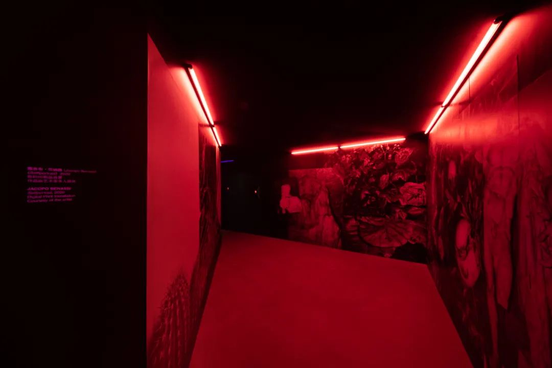 640_26.jpg