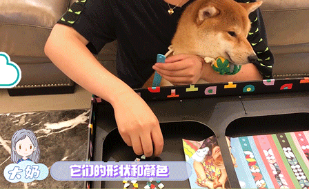 640_19.gif