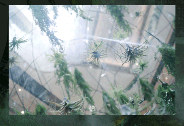 640_5.gif