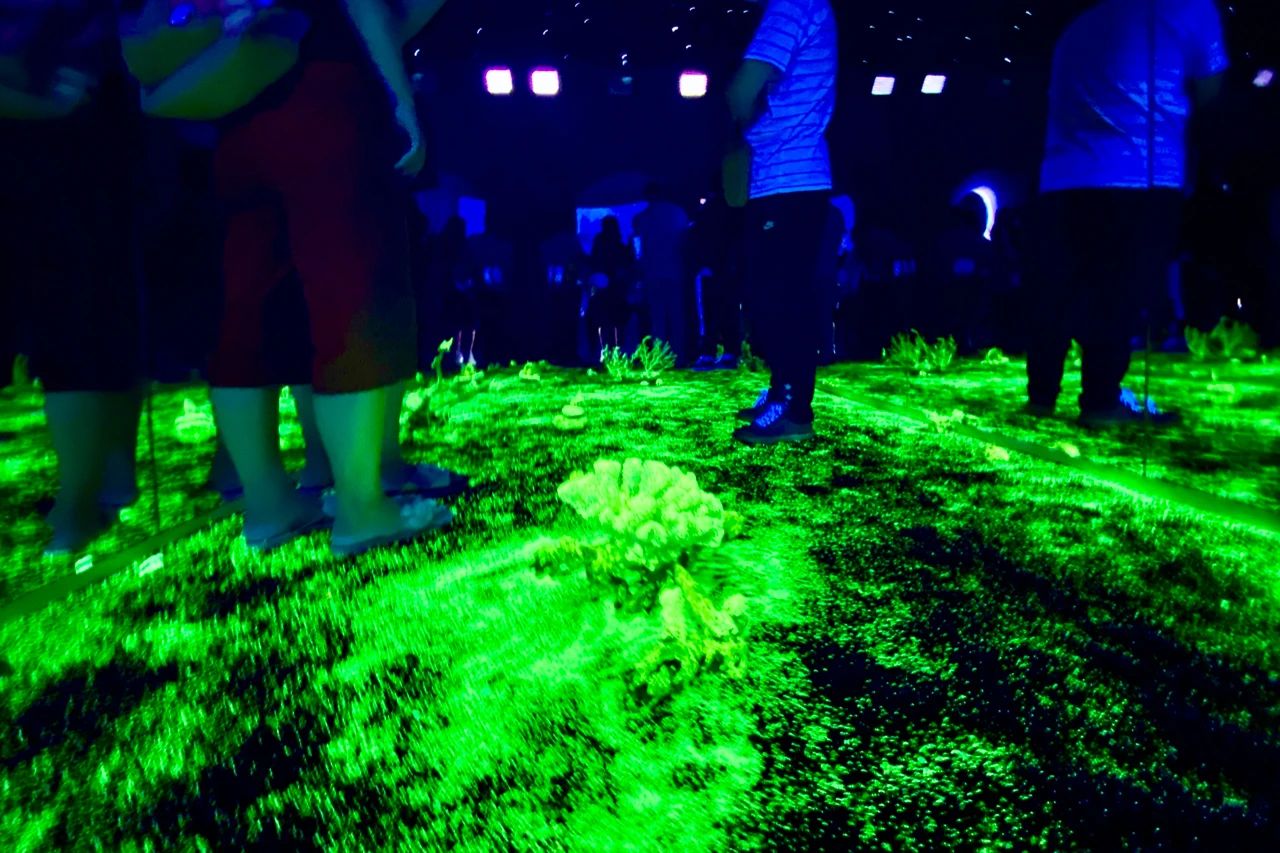 兴业太古汇化身夏日清凉疗愈地