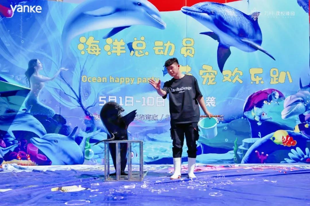 美人鱼巡演