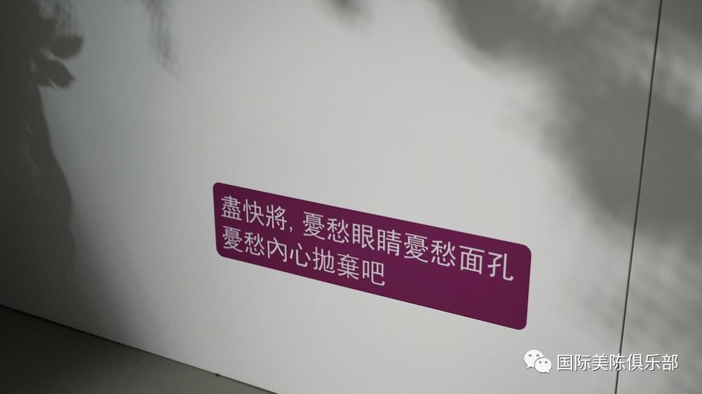 Curiocity Hong Kong多感官互动展览