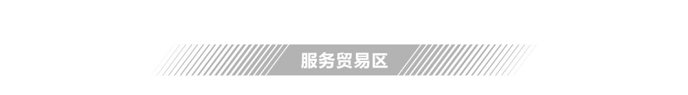 世界级展会怎样呈现 2020第三届进博会总览④