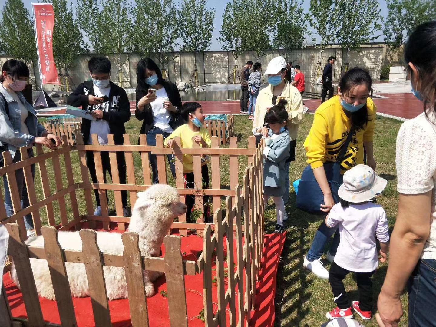 商超必备暖场活动可爱萌宠展出租