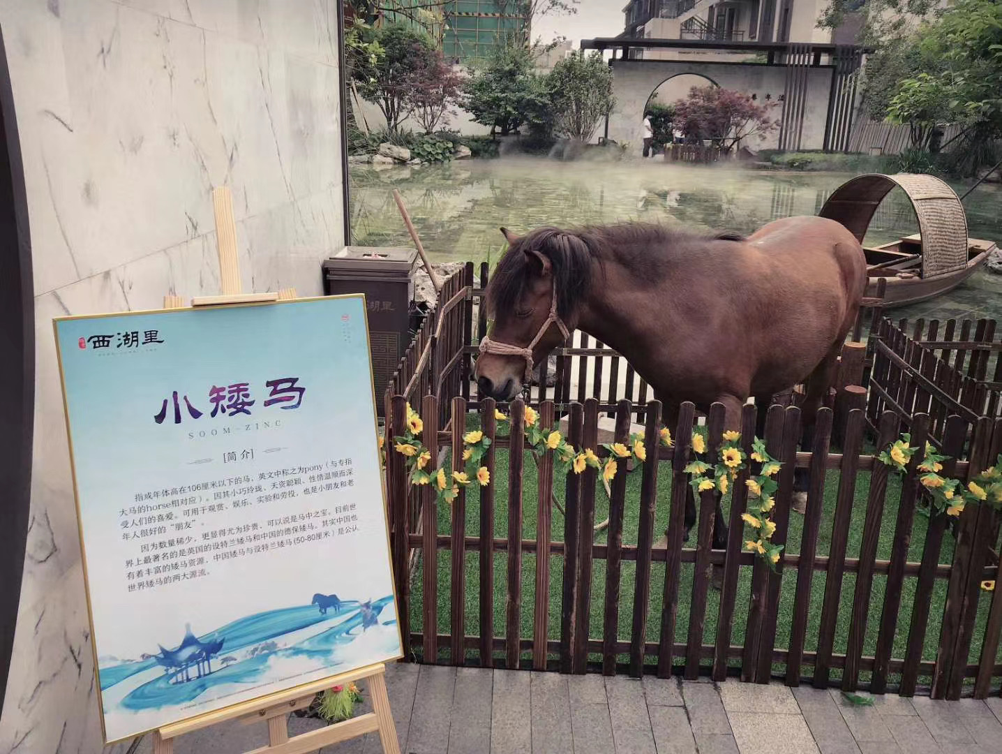 商超必备暖场活动可爱萌宠展出租