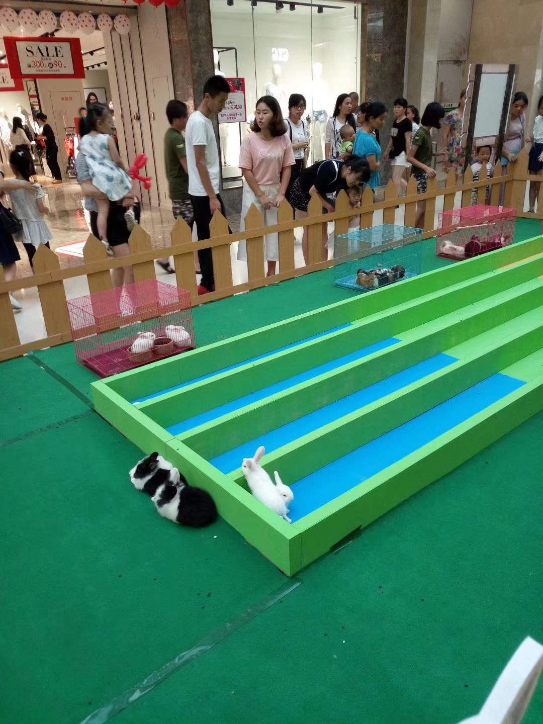 商超必备暖场活动可爱萌宠展出租