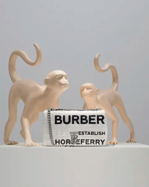 “Burberry动物王国”快闪店