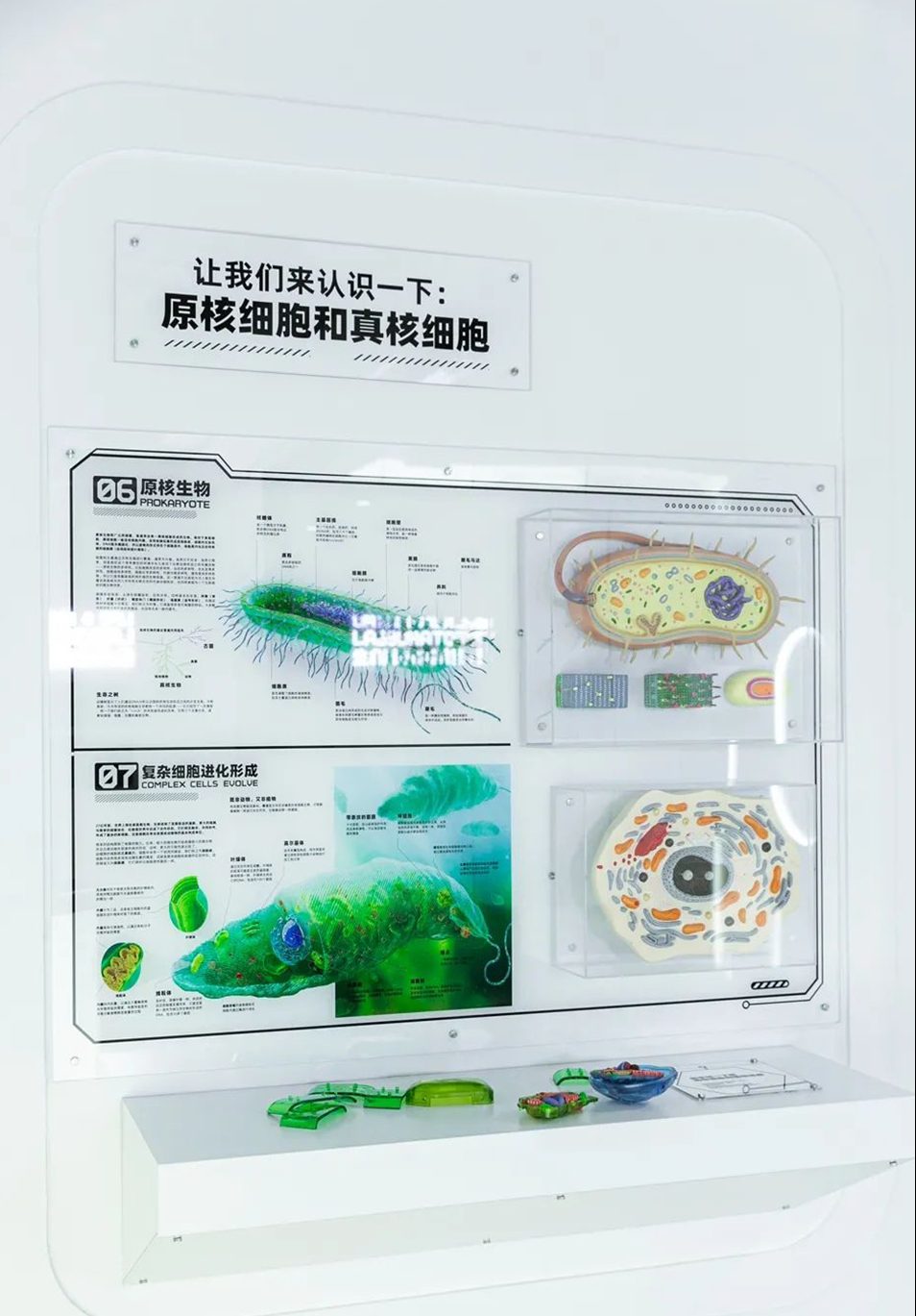 科技创意新体验 | 2021广州太空漫游互动科学体验展 
