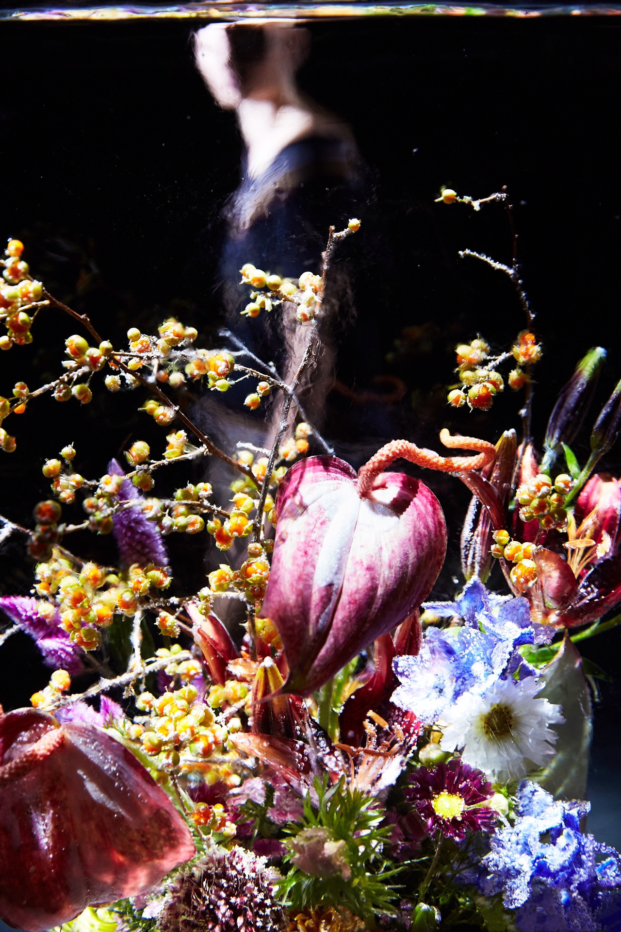 冰封花卉装置艺术·绽放奇幻之美