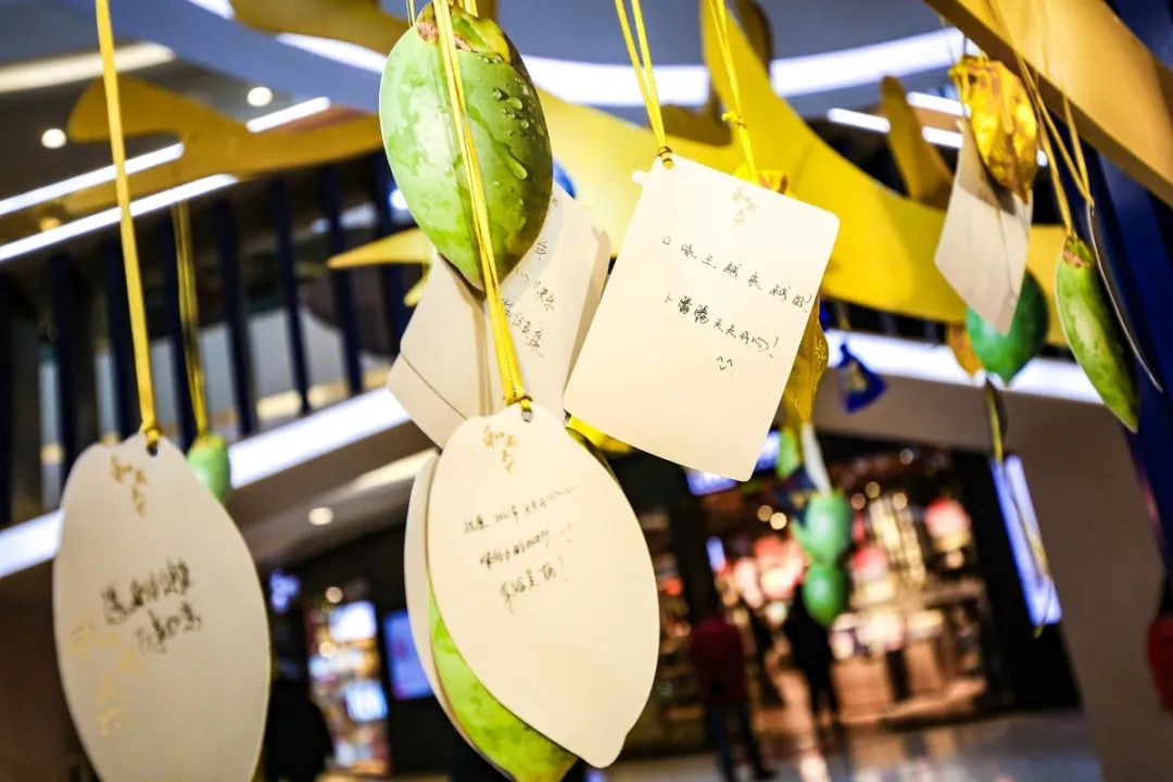 和成天下「万里挑一博物馆」槟榔快闪店