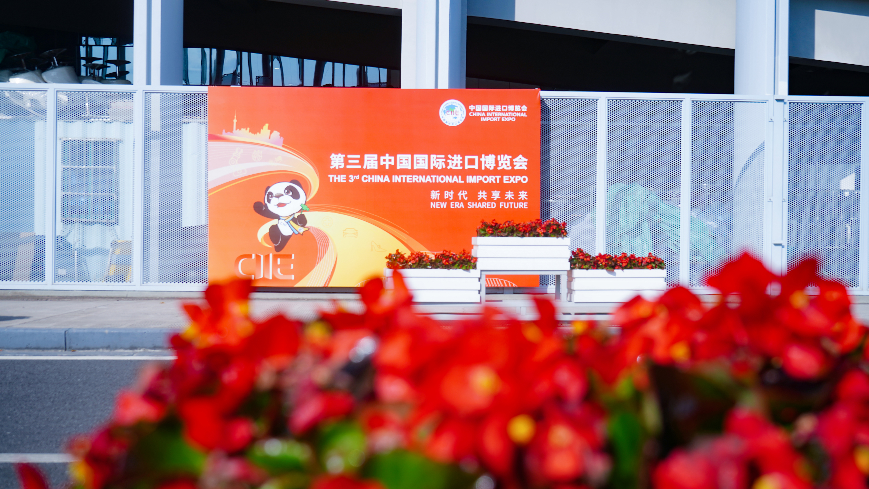 世界级展会怎样呈现 2020第三届进博会总览①