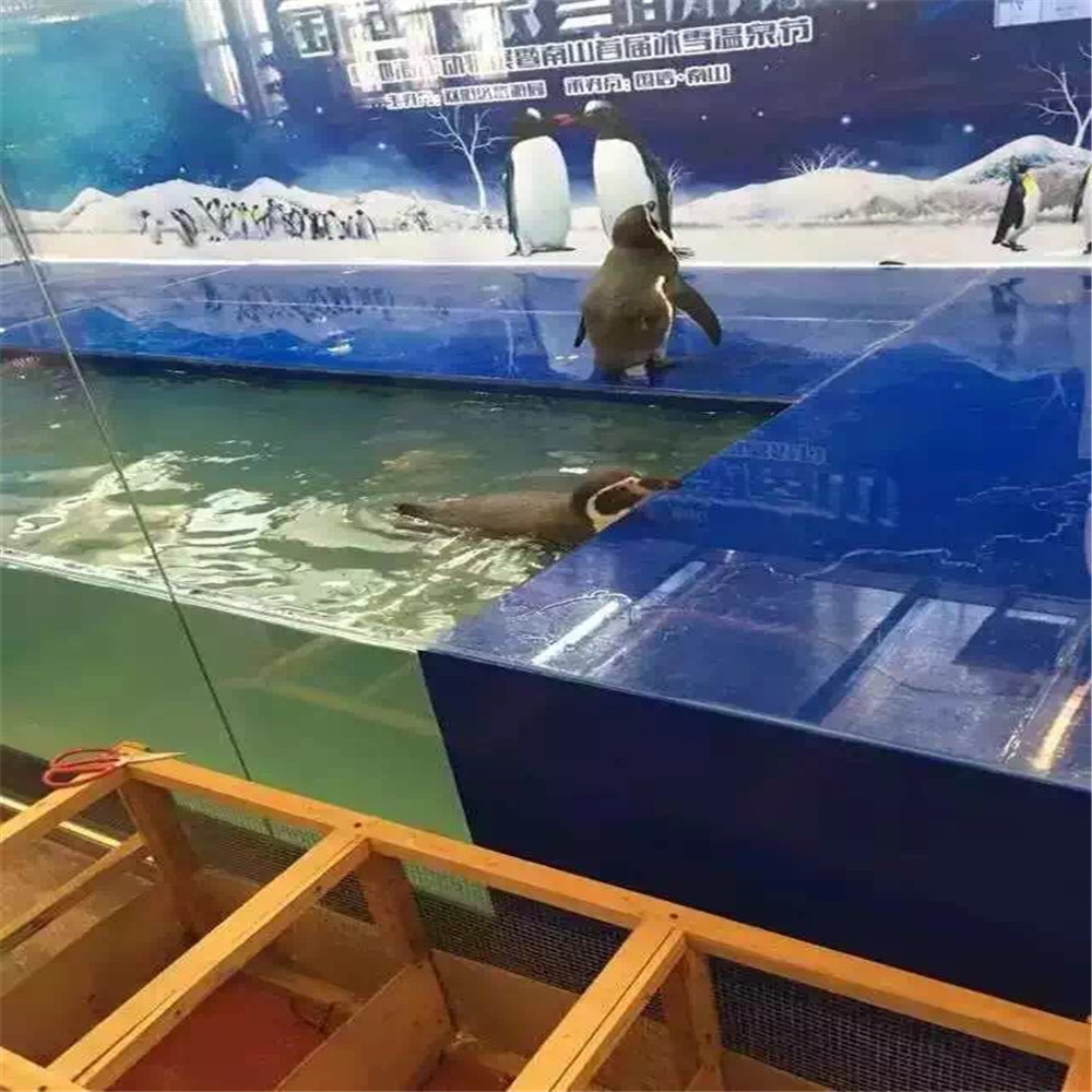 海洋动物展览租赁公司海洋动物展出租价格