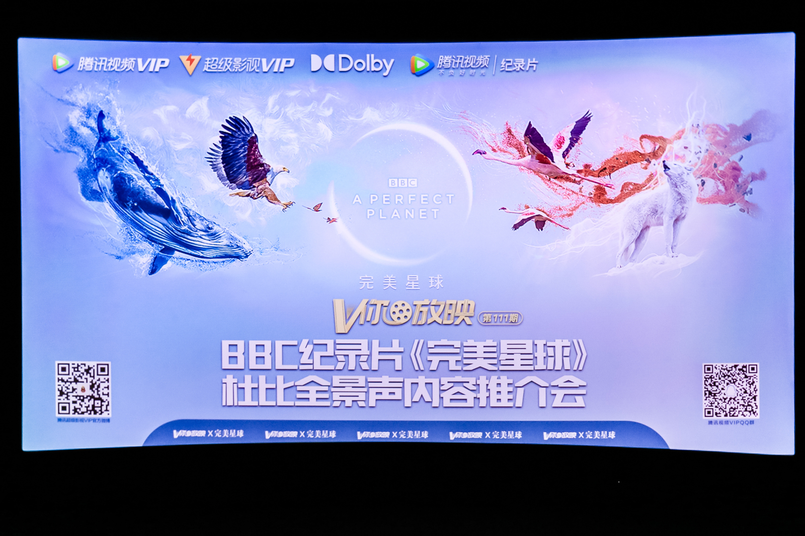 照片直播|V你放映（第111期） BBC纪录片《完美星球》杜