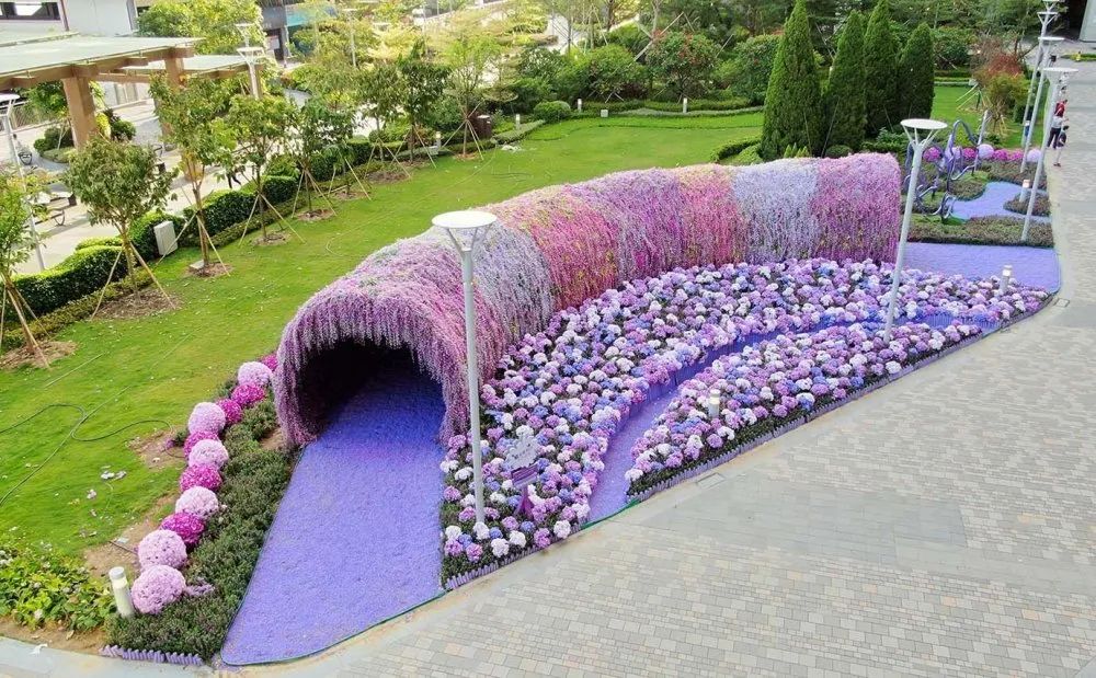  香港《紫·在北角汇》花夏祭