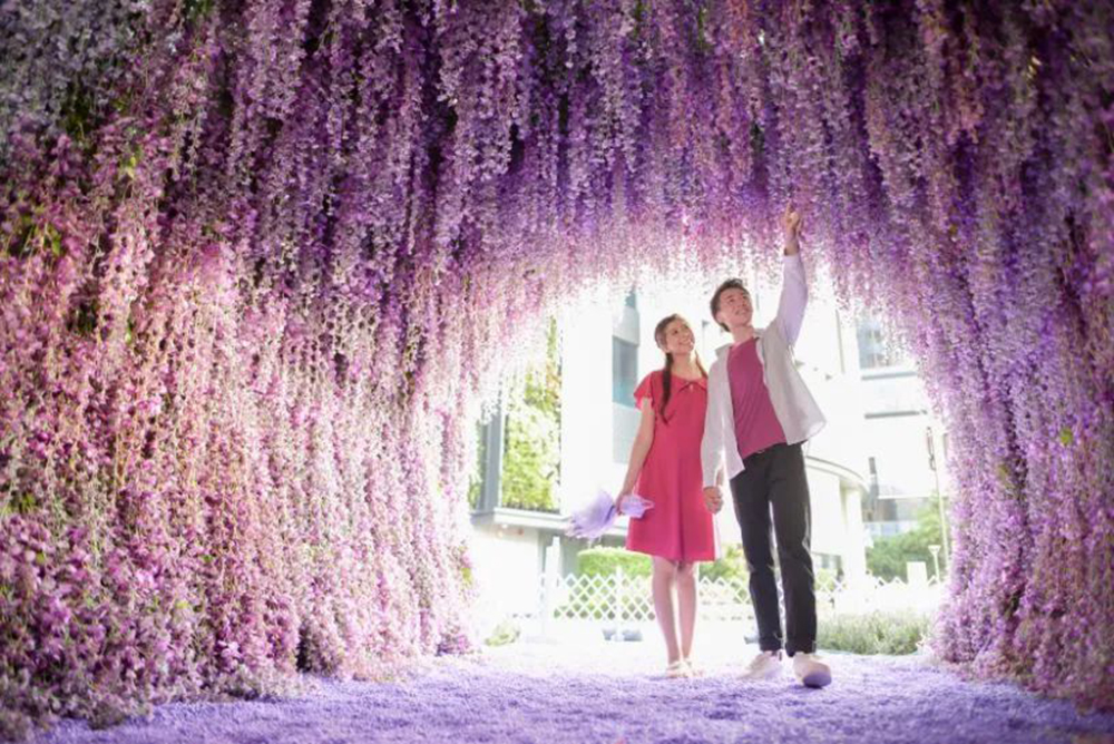  香港《紫·在北角汇》花夏祭