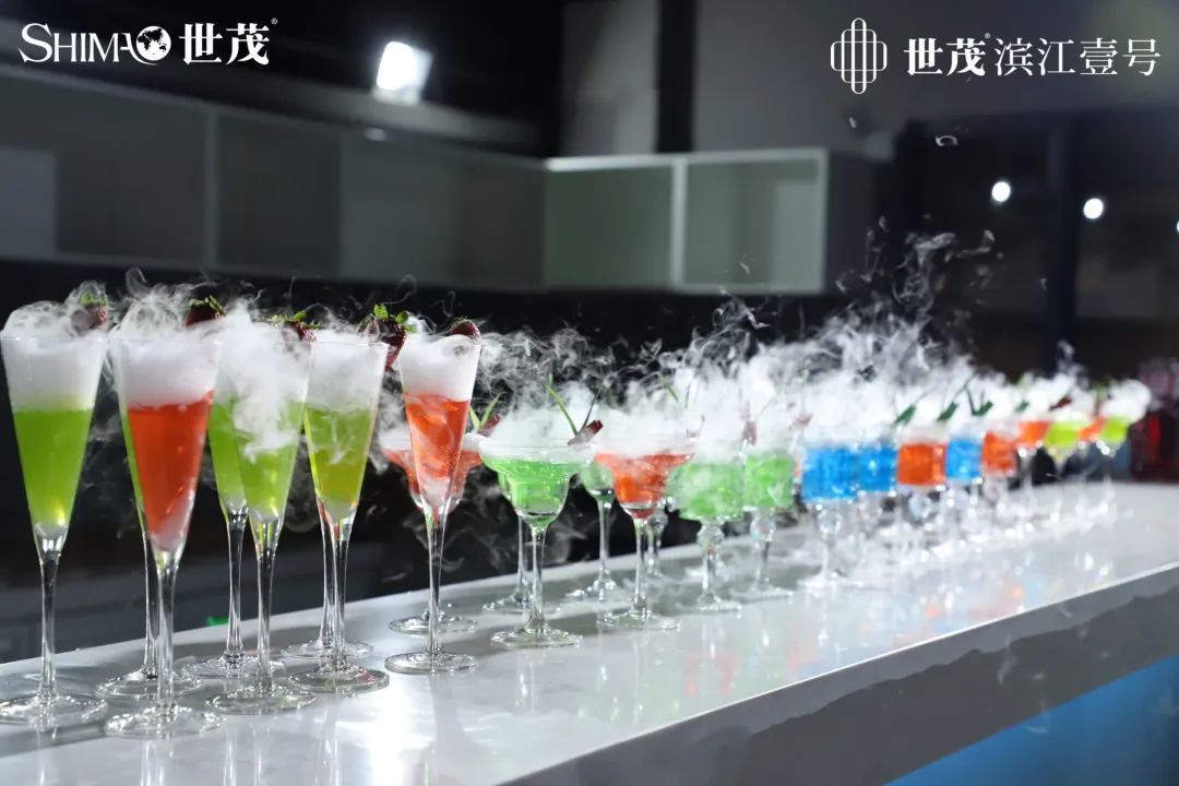 世茂“大湾区 肇未来”品牌发布会